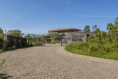 Dian Fossey Gorilla Fund International